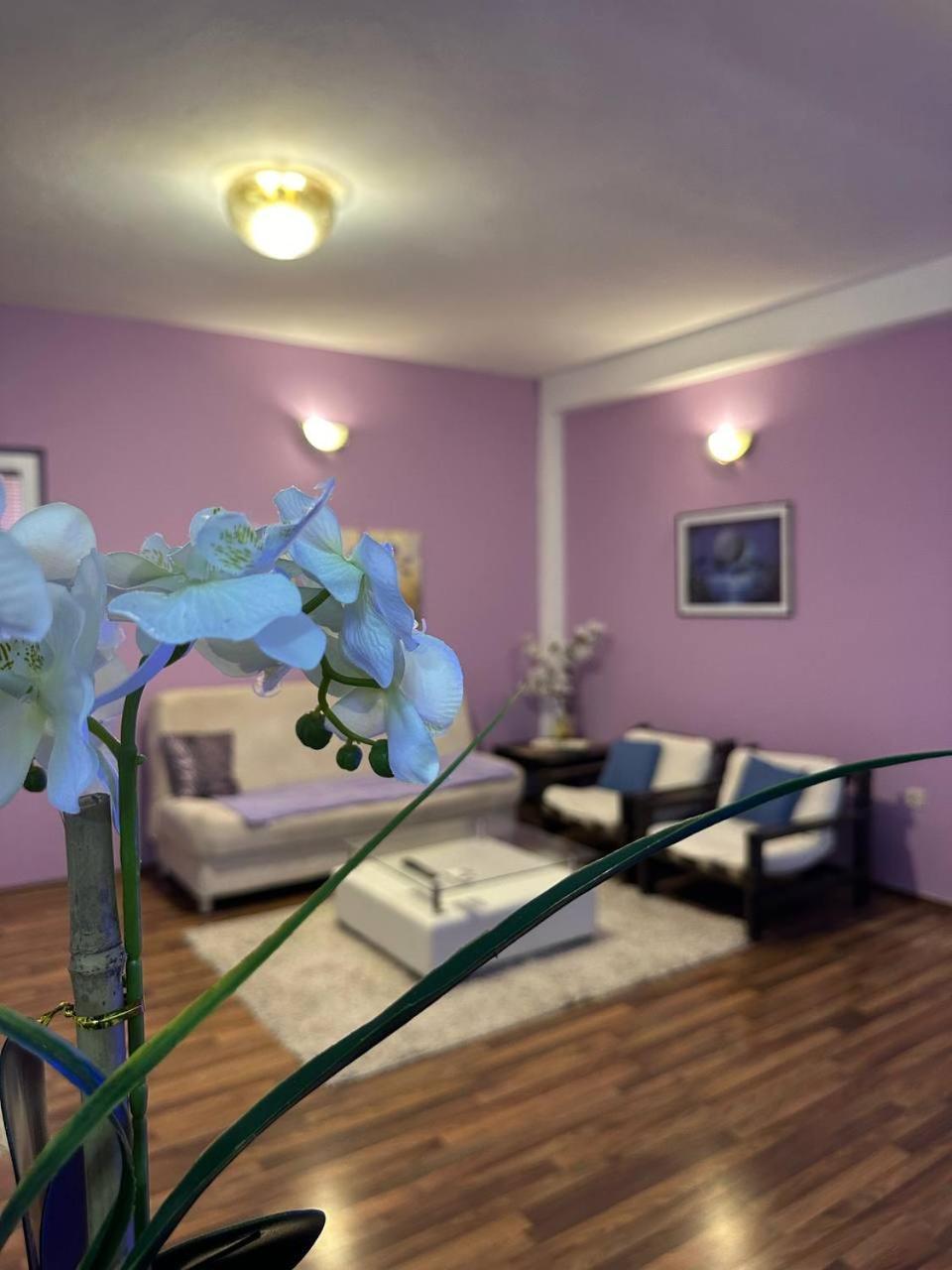 Riaho Apartment Mostar Exterior foto